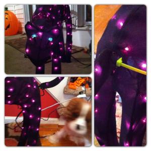 227484_500236536656170_1933232541_n